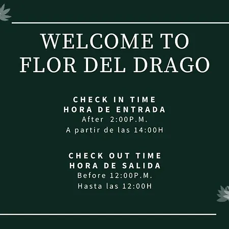 Apartament Flor Del Drago *