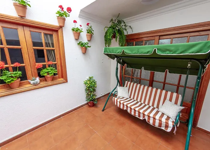 Flor Del Drago Apartment Icod De Los Vinos