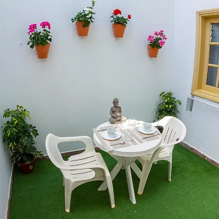 Flor Del Drago Apartment Icod De Los Vinos
